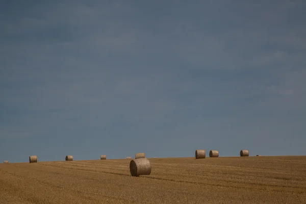 Balles de foin rondes — Photo