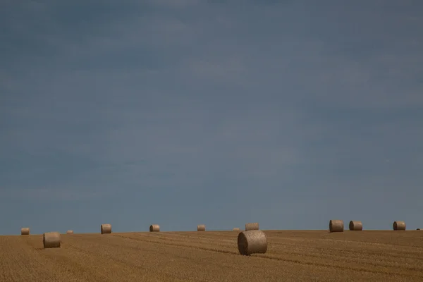 Round hay bales — Stock Photo, Image