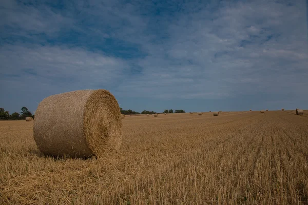 건초 bales 라운드 — 스톡 사진