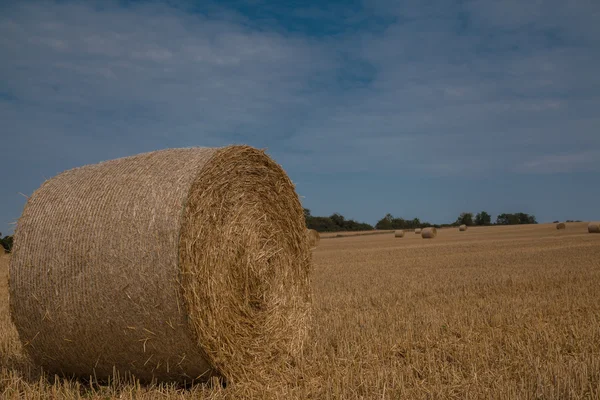 건초 bales 라운드 — 스톡 사진