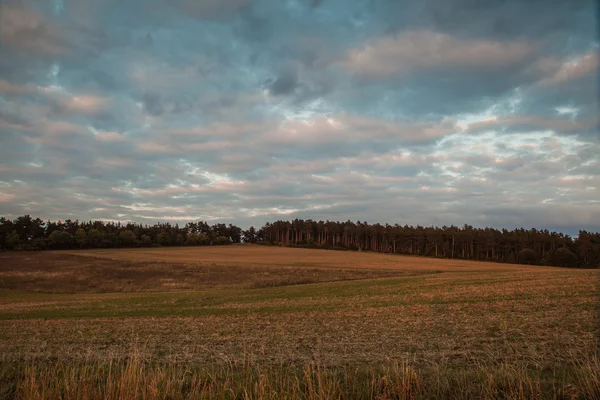 Verano nublado paisaje — Foto de Stock