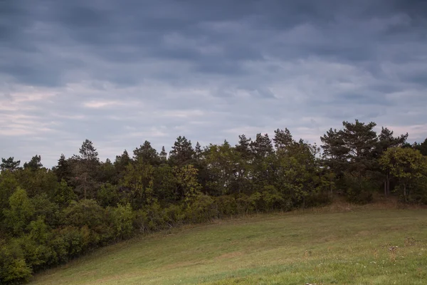 Verão paisagem nublada — Fotografia de Stock