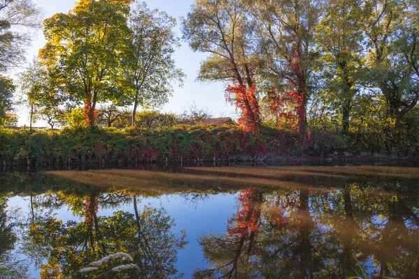 Pôr do sol sobre um lago com árvores — Fotografia de Stock