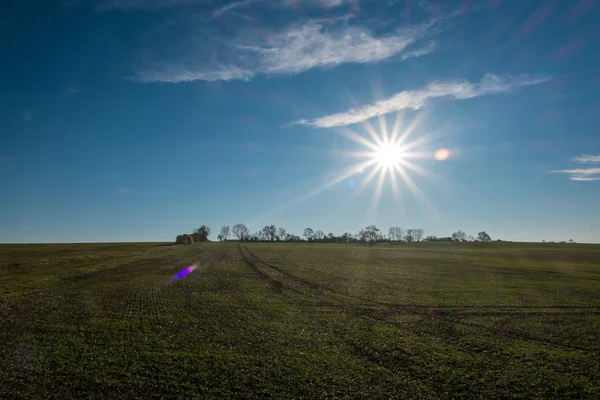 Vue paysage d'automne — Photo