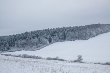 Ocak ayında kış manzara
