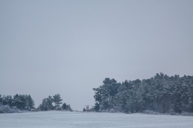 Ocak ayında kış manzara