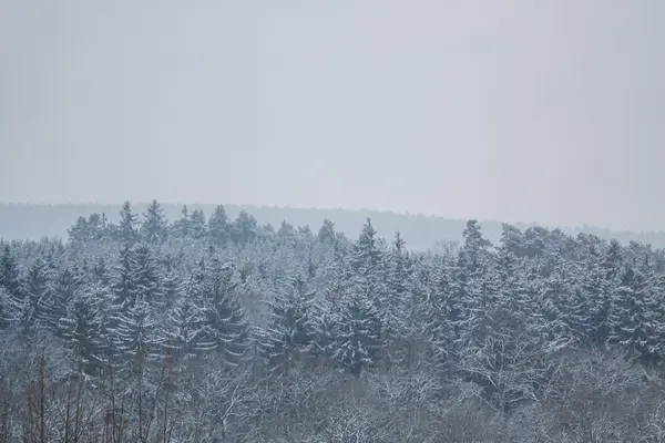 Zimowy krajobraz w styczniu — Zdjęcie stockowe
