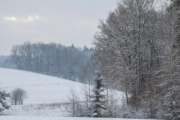 Winterse landschap in januari — Stockfoto