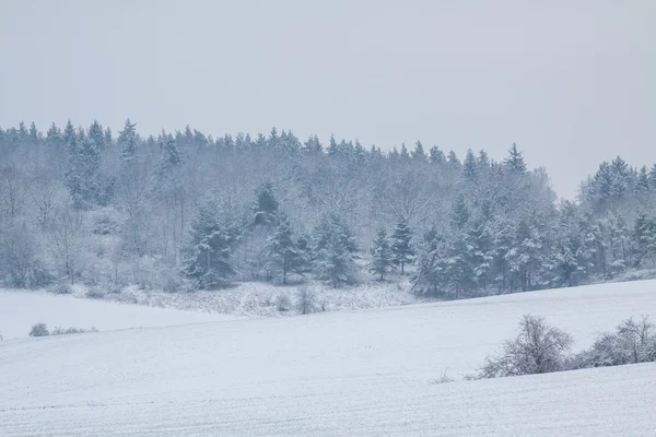 Paisaje invernal en enero —  Fotos de Stock