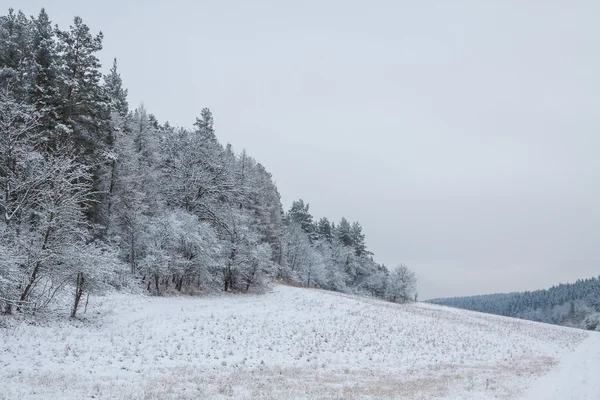 Paisaje invernal en enero —  Fotos de Stock