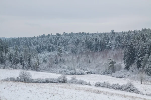 Zimowy krajobraz w styczniu — Zdjęcie stockowe