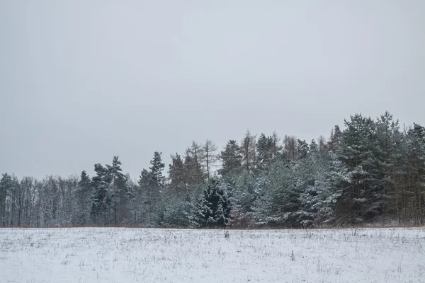 1 月冬の風景 — ストック写真