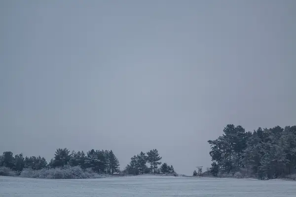 Zimní krajina v lednu — Stock fotografie
