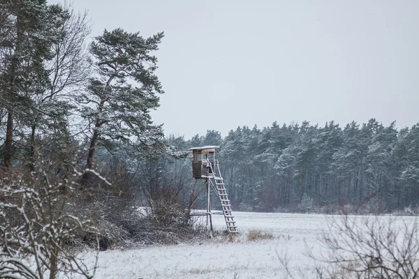 Paisagem invernal em janeiro — Fotografia de Stock