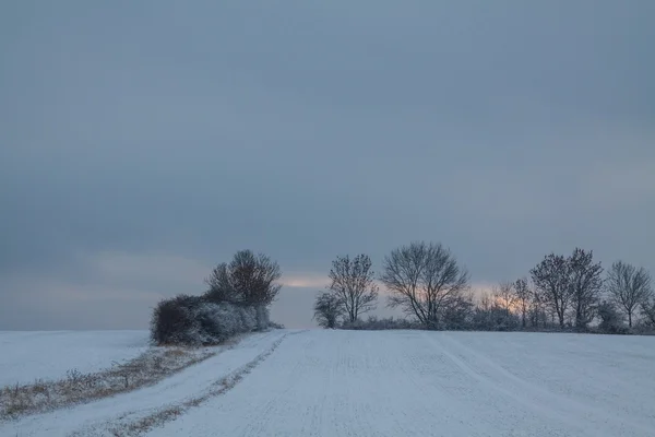 Winterse landschap in januari — Stockfoto