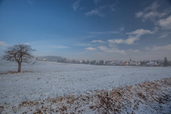 Ocak ayında kış manzara — Stok fotoğraf