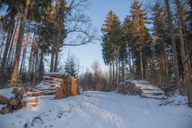 Ahşap depolama ile kış orman