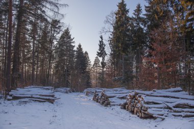 Ahşap depolama ile kış orman