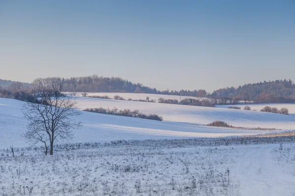 Pejzaż im zima — Zdjęcie stockowe