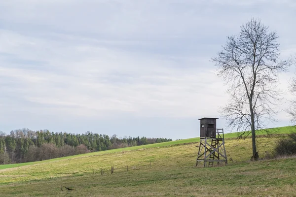 Krajobraz wiosną — Zdjęcie stockowe