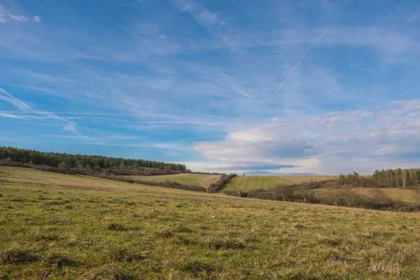 Landskap under våren — Stockfoto