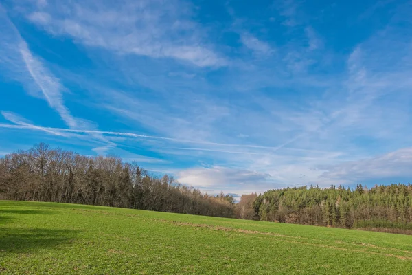 Landschaft im Frühling — Stockfoto