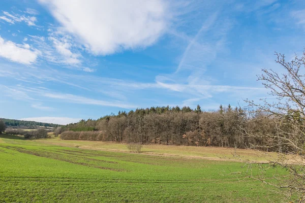 Krajina na jaře — Stock fotografie