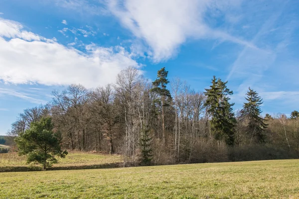 Paesaggio in primavera — Foto Stock