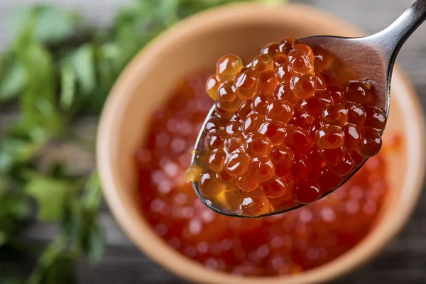 Caviar rojo en cuchara de cerca . — Foto de Stock