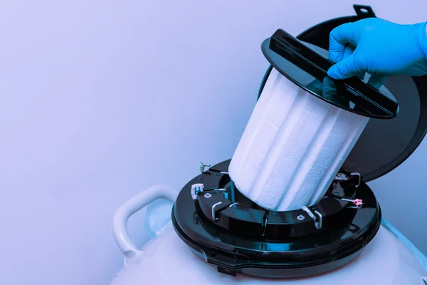 Sperm ve yumurta örnekleri içeren bir sıvı azot banka.