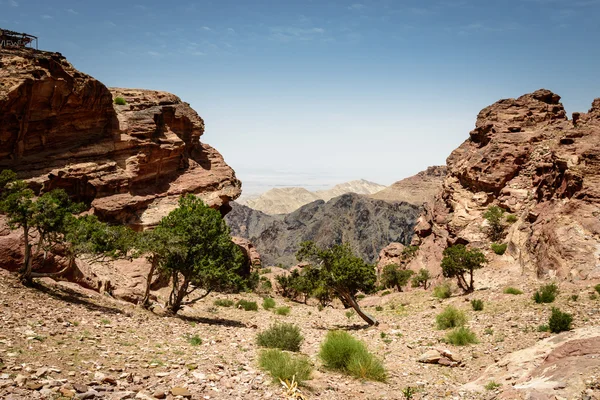 Trees and black crags  in  old  city Petra — Stock Photo, Image