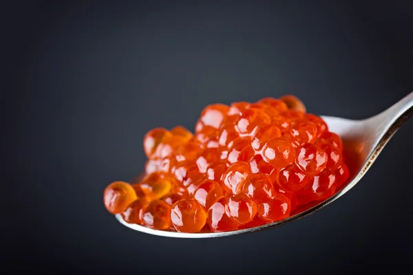 Red caviar in spoon close up. Royalty Free Stock Photos