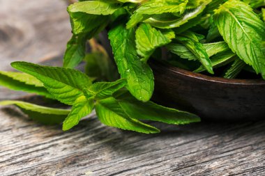 Yeşil taze nane yaprakları