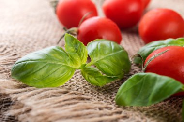 Fesleğen yaprakları ve ahşap arka plan domates 