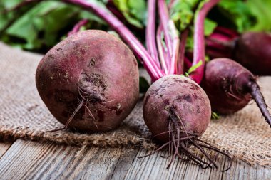 Rustik masada genç pancar 