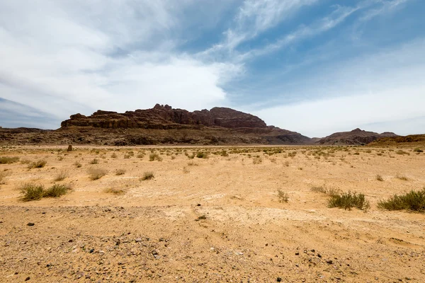 Wadi rum desert  landscape — Stock Photo, Image