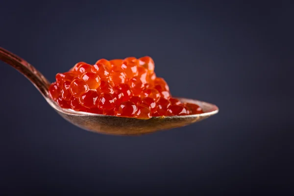 Caviar de salmón rojo —  Fotos de Stock