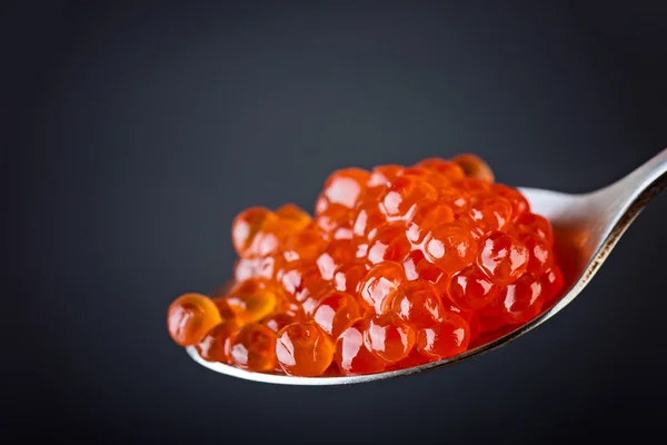Kaviar mit rotem Lachs — Stockfoto
