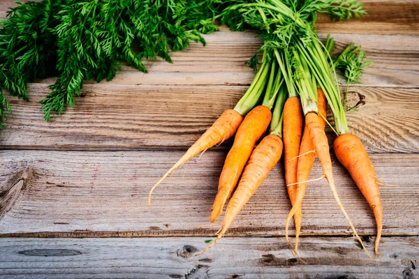 Manojo de zanahorias frescas con hojas verdes —  Fotos de Stock