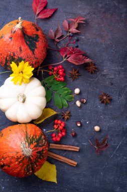 Siyah masadaki balkabağı, sonbahar arkaplanı, üst görünüm