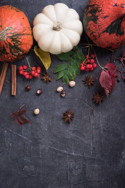 Calabaza Sobre Mesa Negra Fondo Otoño Vista Superior — Foto de Stock