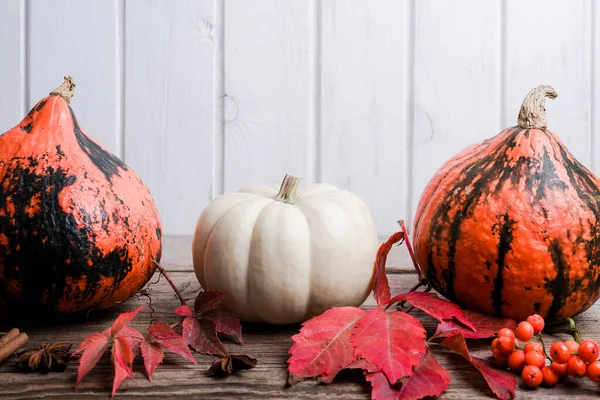Pumpkin Wooden Table Autumn Background — Stock Photo, Image