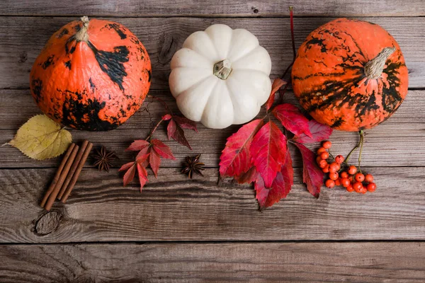 Calabaza Sobre Mesa Madera Fondo Otoño — Foto de Stock