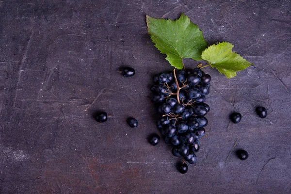 Mazzo Uva Blu Con Foglie Fondo Scuro — Foto Stock