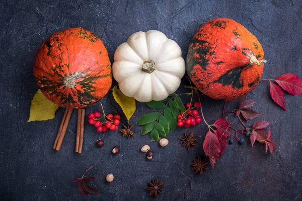 Pumpkins Dark Table Autumn Thanksgiving Background — Stock Photo, Image