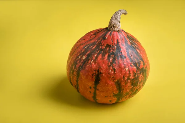 Calabaza Madura Sobre Fondo Amarillo — Foto de Stock