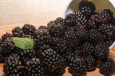 böğürtlen Kupası ahşap tablo