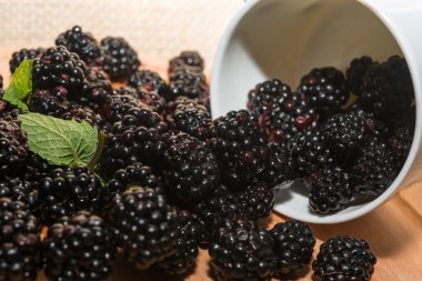 böğürtlen Kupası ahşap tablo