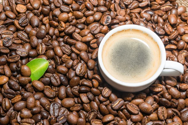 Tazza di caffè con fagioli arrosto — Foto Stock