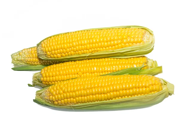 Uszy kukurydziany na białym tle na białym tle — Zdjęcie stockowe